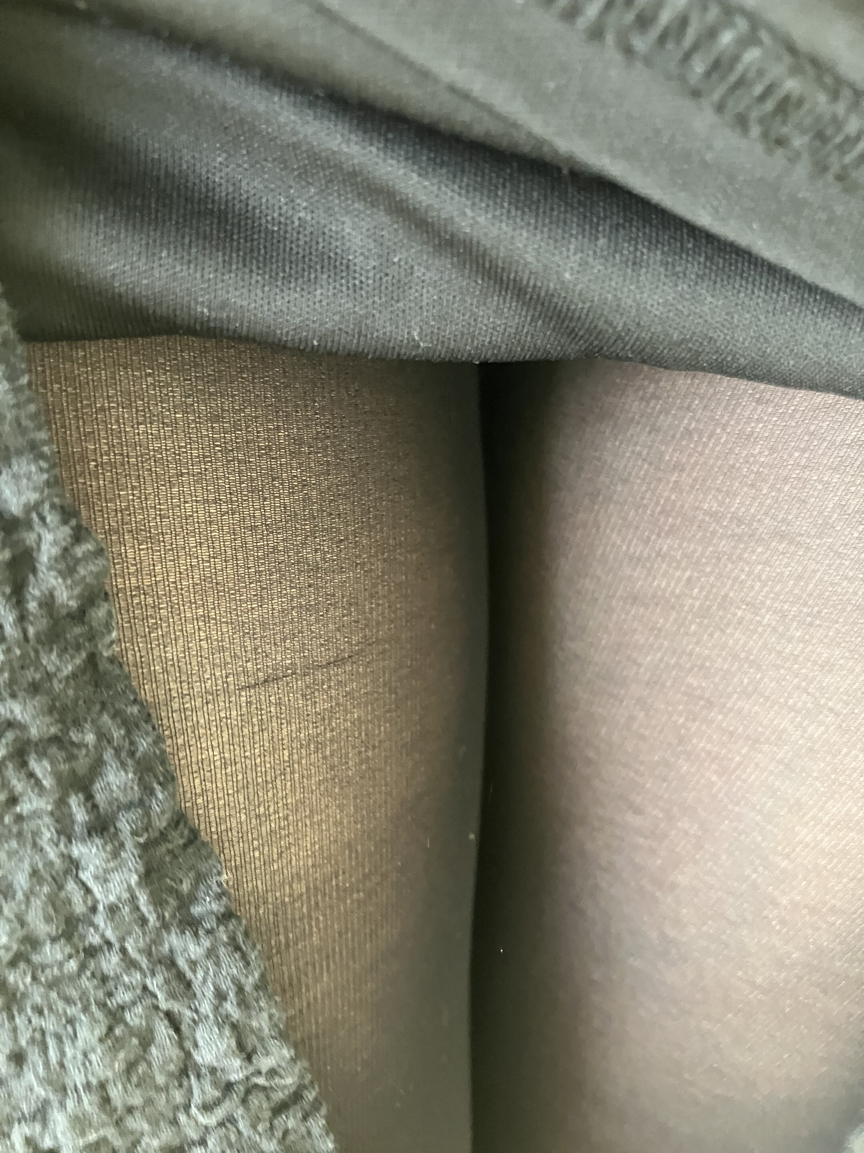 今日は