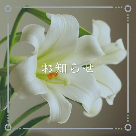 ラスト枠&#9825;