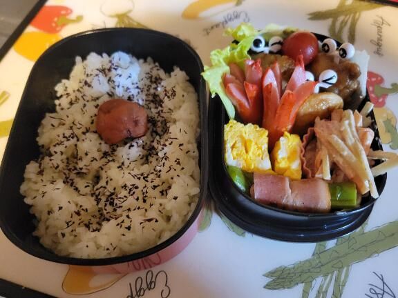 今日のお弁当