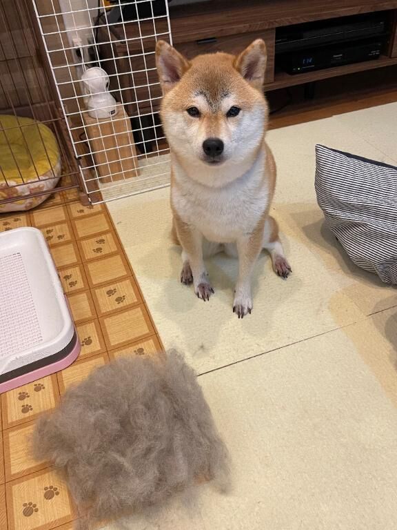 分かる人には分かる話
