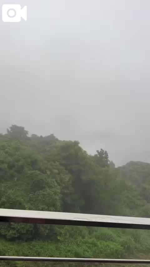 霧