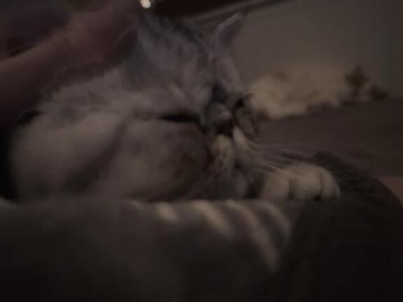 ウル