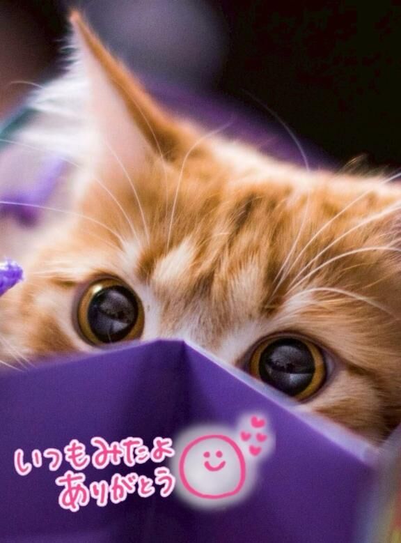 みたよ！ありがとう&#9825;