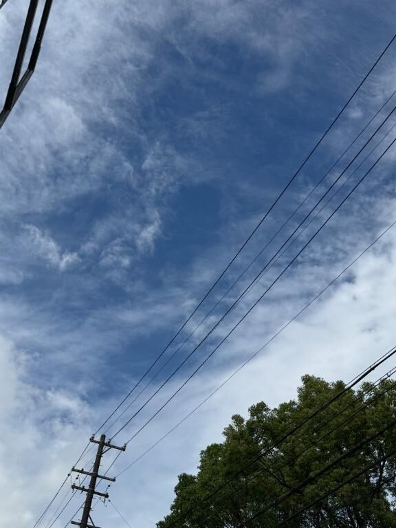 あれ