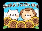 おはようございます☀️