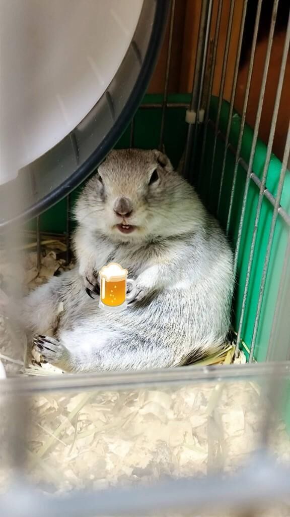 時間変更