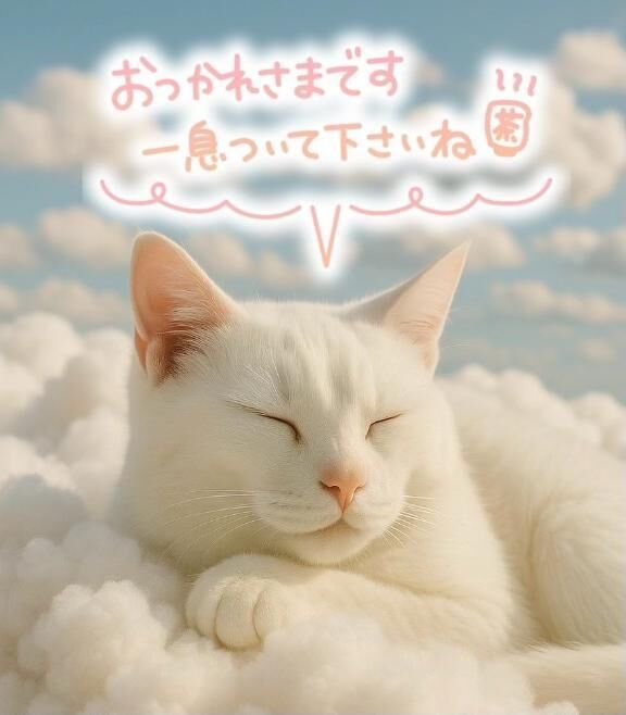 キャンセル出ました！
