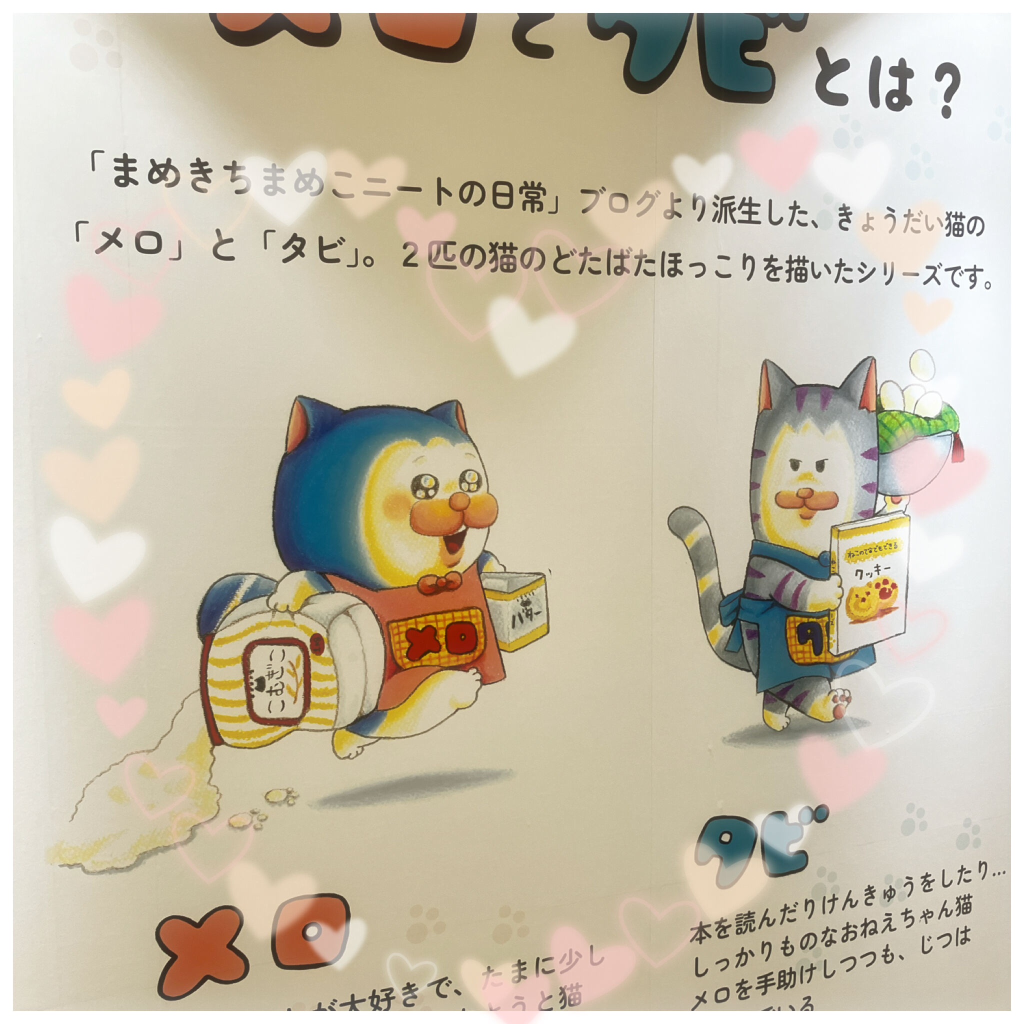 うわーん