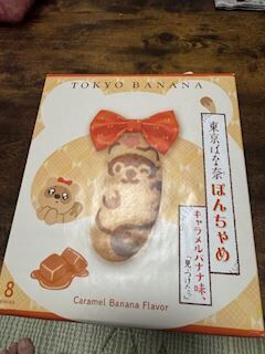 いただき物