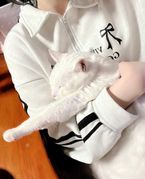 お礼日記