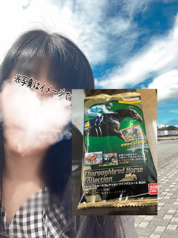 ♡サラブレッドホースコレクション♡