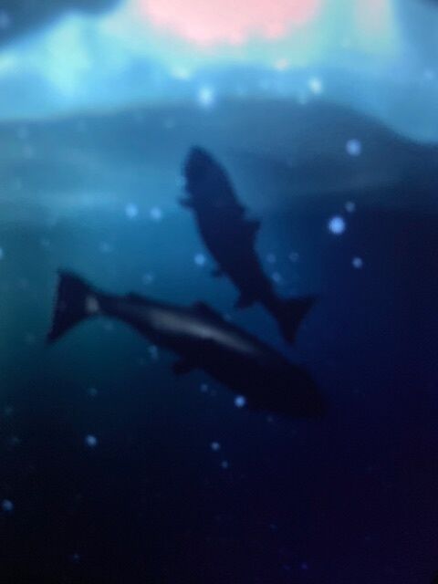お疲れ様です♪