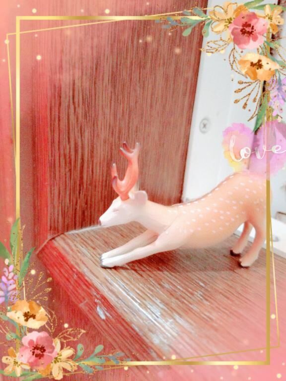 ココ&#9825;