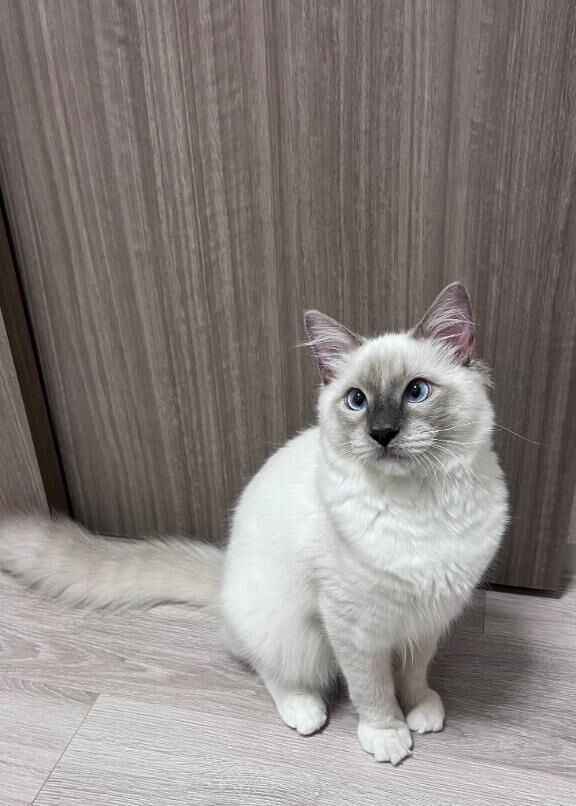 ラストひと枠&#9825;&#9825;