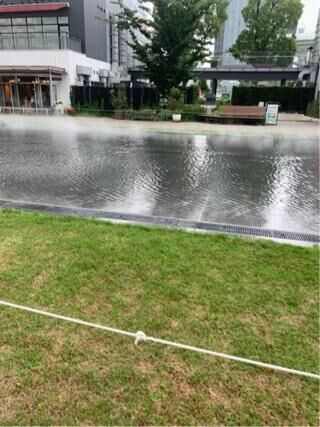 出勤いたしました