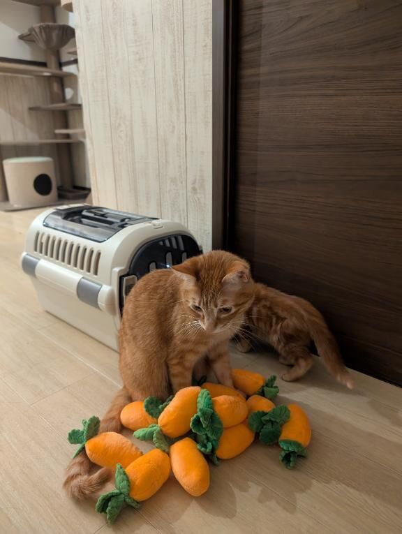 受付終了&#9825;