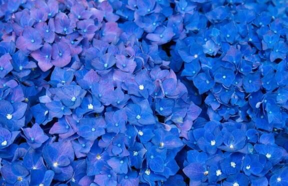 花花　Ｏ様&#128147;