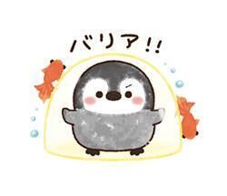今日は……