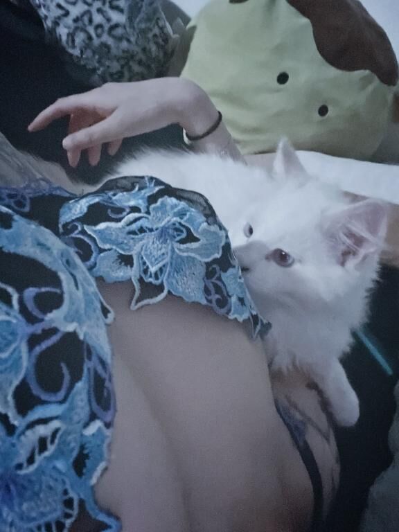 &#9825;