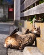じっとり