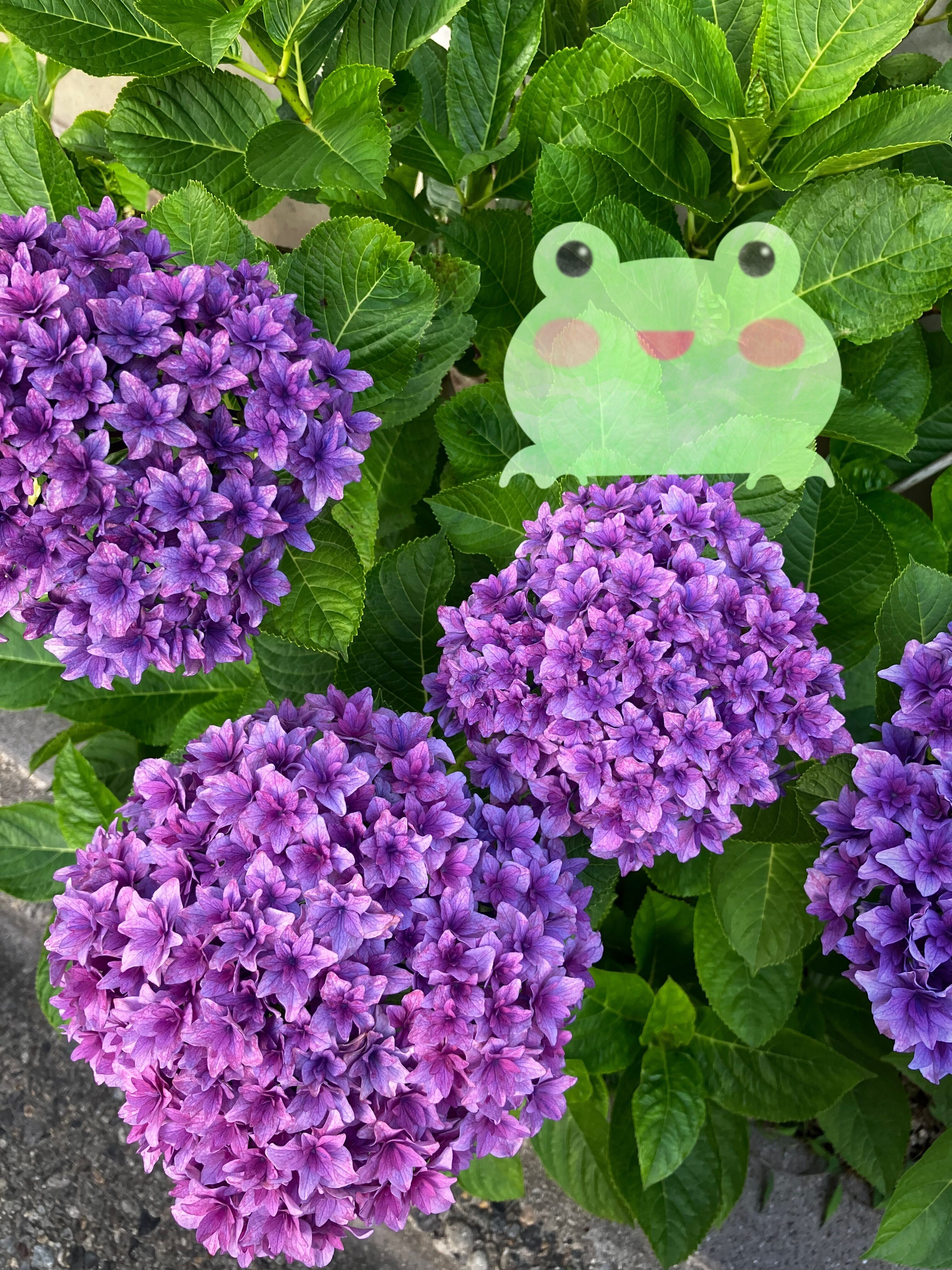 ありがとう&#9825;