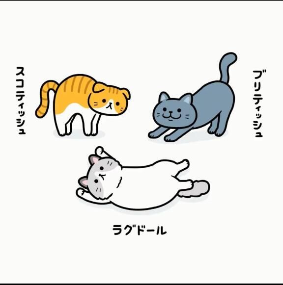 﫣
