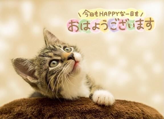 出勤します♡