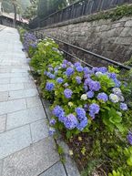 今日も早起き☺︎