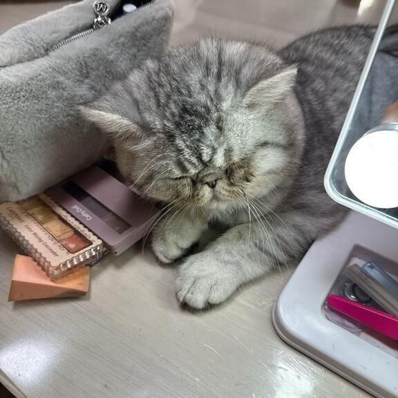 お部屋行く準備してまーす&#128132;