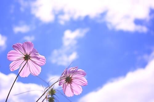 どんなこと、しよっか&#9825;