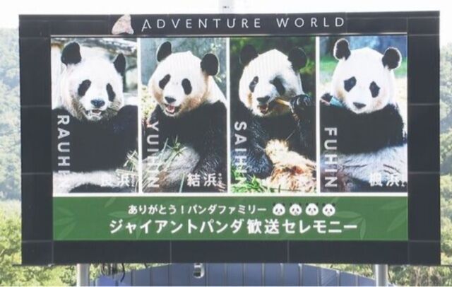 さよなら…パンダ&#128060;&#9825;&#9825;&#9825;