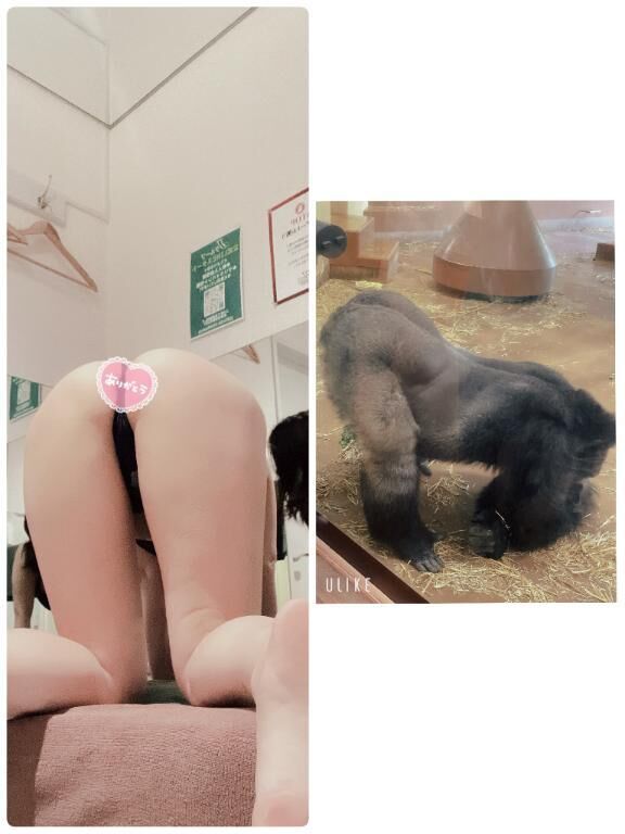 四つん這い笑笑