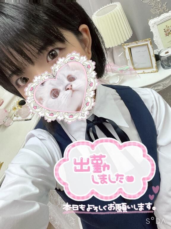 コアラ&#128040;