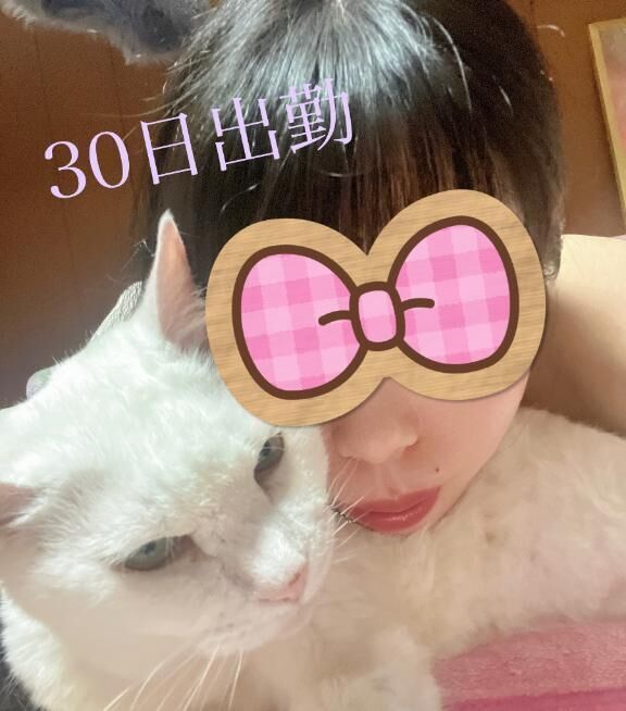 出勤予定。