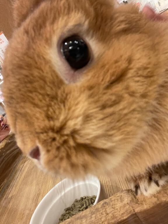 &#9825;