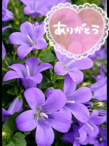ありがとうございました