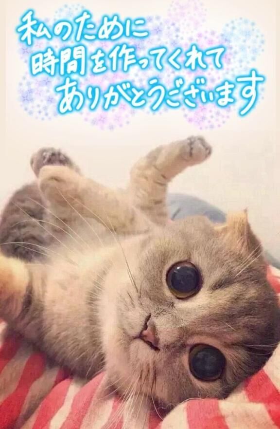 ありがとうございました&#9825;