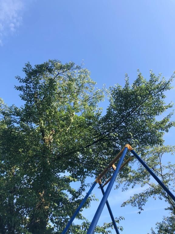 昨日、TVで鬼滅の刃がやっていましたね。すごく久しぶりに見ました&#127808;