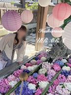 おはようございます