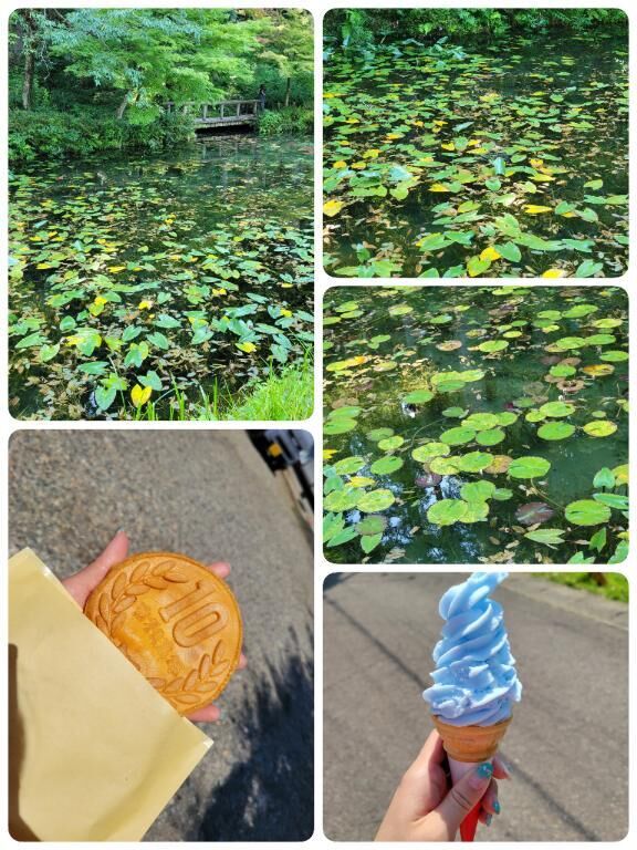 もねの池