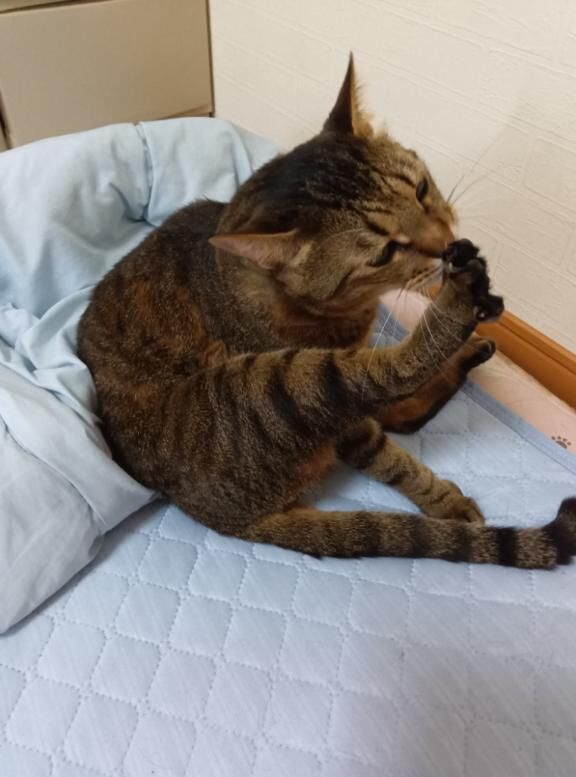 おはようございます