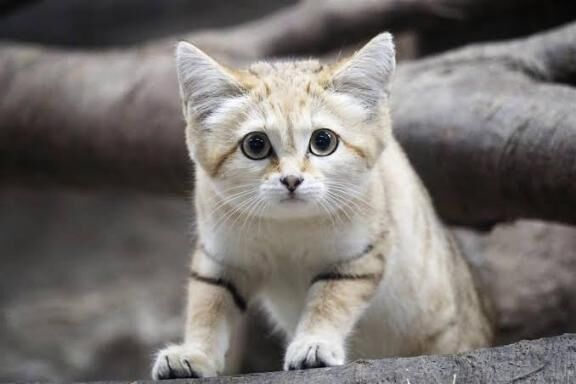 こんにちは&#10024;