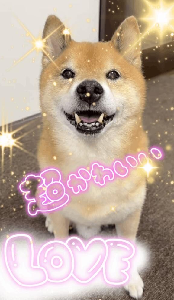 &#9825;&#9825;&#9825;メロメロ&#9825;&#9825;&#9825;