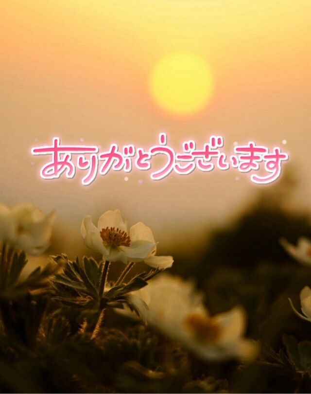 お礼です