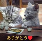 ★Thank you(人*´∀`)。*゚+★