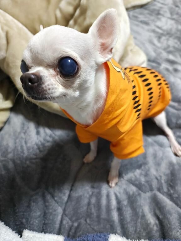 ありがとう(*´&sup3;`*)&#12568;ゅ&#128149;