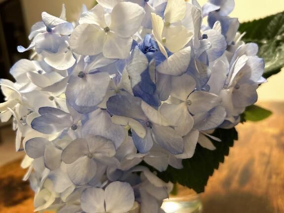 ありがとうございました♡