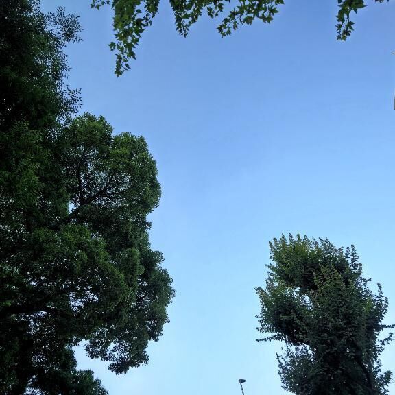 イマソラ