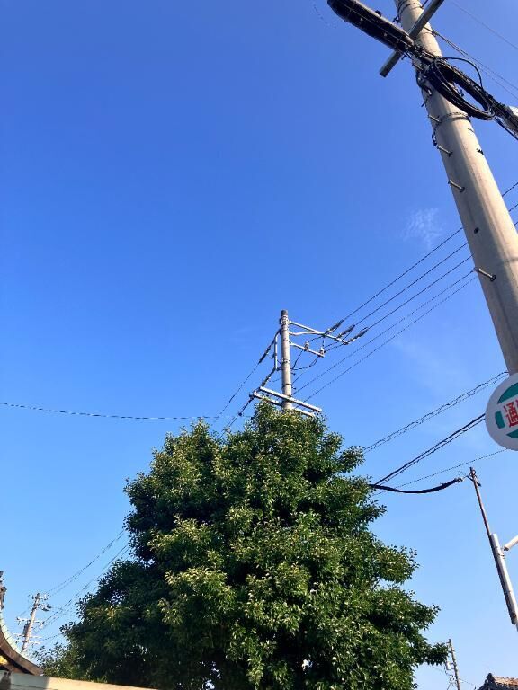 おはようございます。