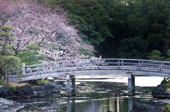 本日出勤